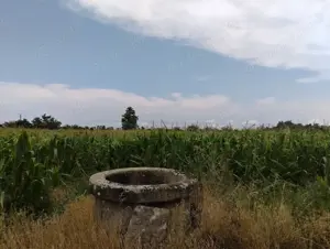 Casa de vanzare in Domanesti - imagine 3