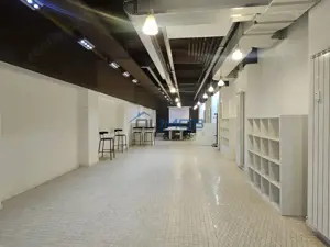 KISELEFF | MIHALACHE | PIATA VICTORIEI - imagine 3 KISELEFF | MIHALACHE | PIATA VICTORIEI - imagine 3