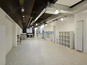 KISELEFF | MIHALACHE | PIATA VICTORIEI - imagine 6 KISELEFF | MIHALACHE | PIATA VICTORIEI - imagine 6