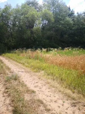 Teren 6147 arabil - imagine 2