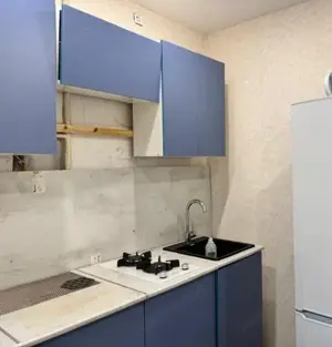 Zona Sagului ap 2 camere de inchiriat - imagine 4