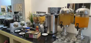 vand accesorii bufet suedez pentru hoteluri 