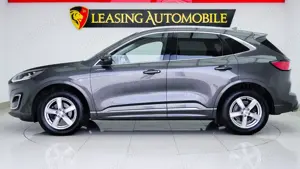 Ford Kuga 2.0 EcoBlue 4x4 Aut. VIGNALE - imagine 8