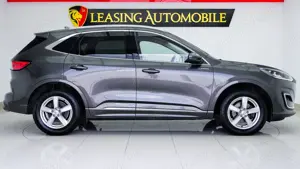 Ford Kuga 2.0 EcoBlue 4x4 Aut. VIGNALE - imagine 4