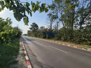 Voluntari - Popasului stradal inchiriere 1700 mp teren - imagine 9