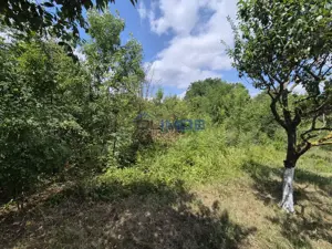 Voluntari - Popasului stradal inchiriere 1700 mp teren - imagine 7