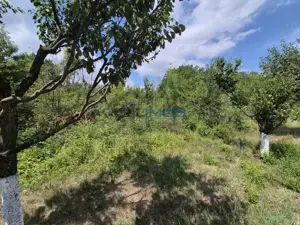 Teren de inchiriat – Voluntari, Strada Popasului 616mp