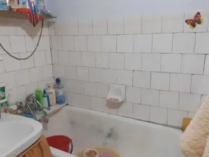 Vanzare Apartament cu 1 camere cf.1 decomandat, mobilat si utilat, pozitie buna, zona Plantelor  - imagine 14