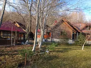 proprietate deosebita,pe malul Teleajenului, de vanzare - imagine 4