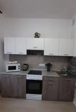 Apartament cu o camera de inchiriat in zona Dambovita - imagine 3