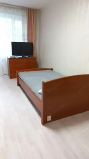 Apartament cu o camera in zona Lipovei - imagine 3 Apartament cu o camera in zona Lipovei - imagine 3