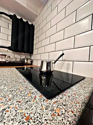 De inchiriat apartament cu o camera in zona Torontalului - imagine 3