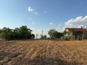 Teren de vânzare   Seceani - imagine 3