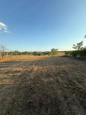 Teren de vânzare   Seceani - imagine 2