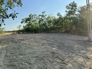 Teren de vânzare   Seceani - imagine 6