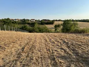 Teren de vânzare   Seceani - imagine 4