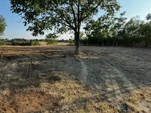 Teren de vânzare   Seceani - imagine 7