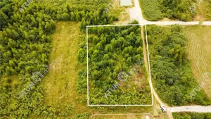 Teren intravilan 3900 mp Porumbacu de Sus, Sibiu - imagine 6