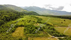 Teren intravilan 3900 mp Porumbacu de Sus, Sibiu - imagine 4