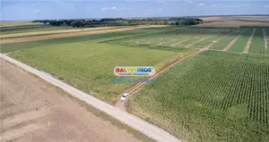 Teren agricol extravilan 2.6 ha - 26.000 mp - Valcelele, Buzau - imagine 2