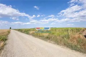 Teren agricol extravilan 2.6 ha - 26.000 mp - Valcelele, Buzau - imagine 13