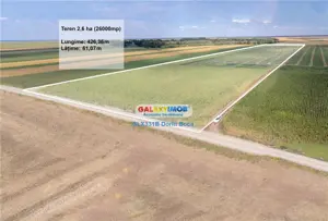 Teren agricol extravilan 2.6 ha - 26.000 mp - Valcelele, Buzau - imagine 8