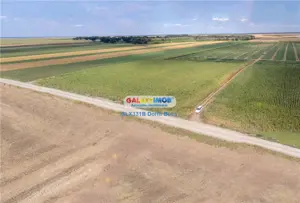 Teren agricol extravilan 2.6 ha - 26.000 mp - Valcelele, Buzau - imagine 7