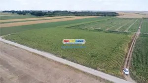 Teren agricol extravilan 2.6 ha - 26.000 mp - Valcelele, Buzau - imagine 12