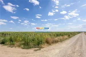 Teren agricol extravilan 2.6 ha - 26.000 mp - Valcelele, Buzau - imagine 9