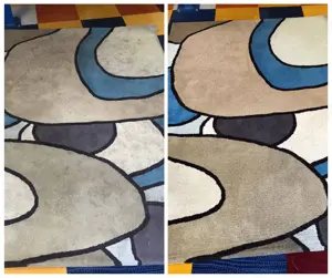 Spălătorie Covoare Timișoara Ridicare Domiciliu - imagine 2