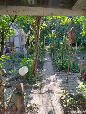 Proprietar vand 2 case in aceeasi curte - imagine 2