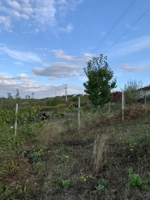 Ichiriez Teren ingradit cu apa si canalizare Oradea, str. Sofiei - imagine 7