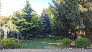 BRASADAS vinde vila 5 cam 190mp teren 10 ari str. Dara. - imagine 8