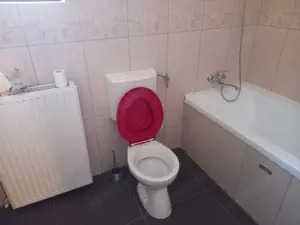 BRASADAS vinde casa in zona TITULESCU cu 5 camere si teren 350mp - imagine 6