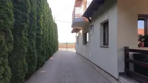 BRASADAS vinde vila 5 cam 190mp teren 10 ari str. Dara. - imagine 9