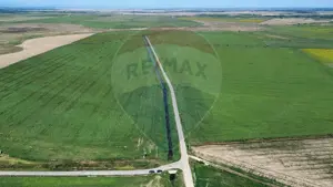 Fermă vegetală 148 ha și sediu fermă Mãicãneşti ! - imagine 3