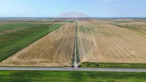 Fermă vegetală 148 ha și sediu fermă Mãicãneşti ! - imagine 2