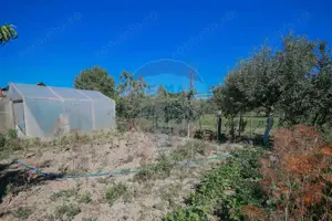 Casă și teren de 1397 mp de vânzare în Ineu, la 18 km de Oradea - imagine 11