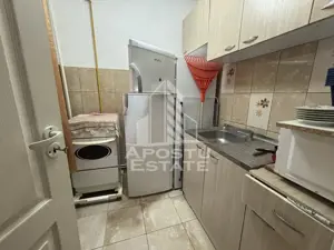 Apartament cu 2 camere de vanzare in zona Sagului, Timisoara - imagine 4