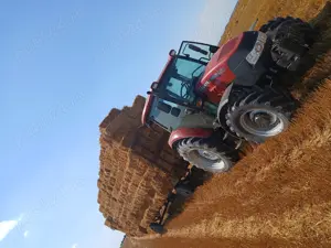 Vand baloti paie de grau