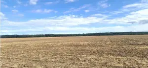 Teren extravilan Branesti, ID: R2649181 - imagine 4