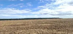 Teren extravilan Branesti, ID: R2649181 - imagine 5