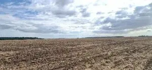 Teren extravilan Branesti, ID: R2649181 - imagine 3