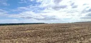 Teren extravilan Branesti, ID: R2649181 - imagine 6