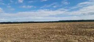 Teren extravilan Branesti, ID: R2649181