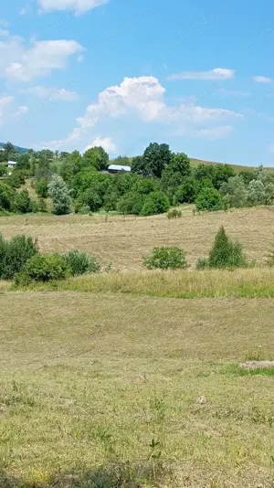 Tuns iarba si tăiat lemne cu Drjba