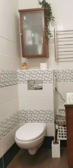 Apartament 2 camere de inchiriat in zona Dacia - imagine 3