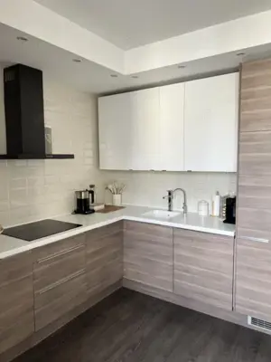 Apartament cu 2 camere de inchiriat zona Circumvalatiunii - imagine 2 Apartament cu 2 camere de inchiriat zona Circumvalatiunii - imagine 2