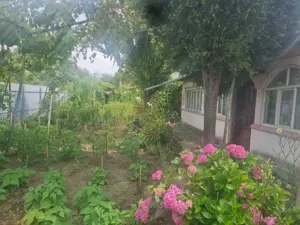 Casa de vanzare Cartier CFR - imagine 3 Casa de vanzare Cartier CFR - imagine 3