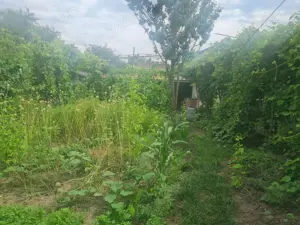 Casa de vanzare Cartier CFR - imagine 6 Casa de vanzare Cartier CFR - imagine 6